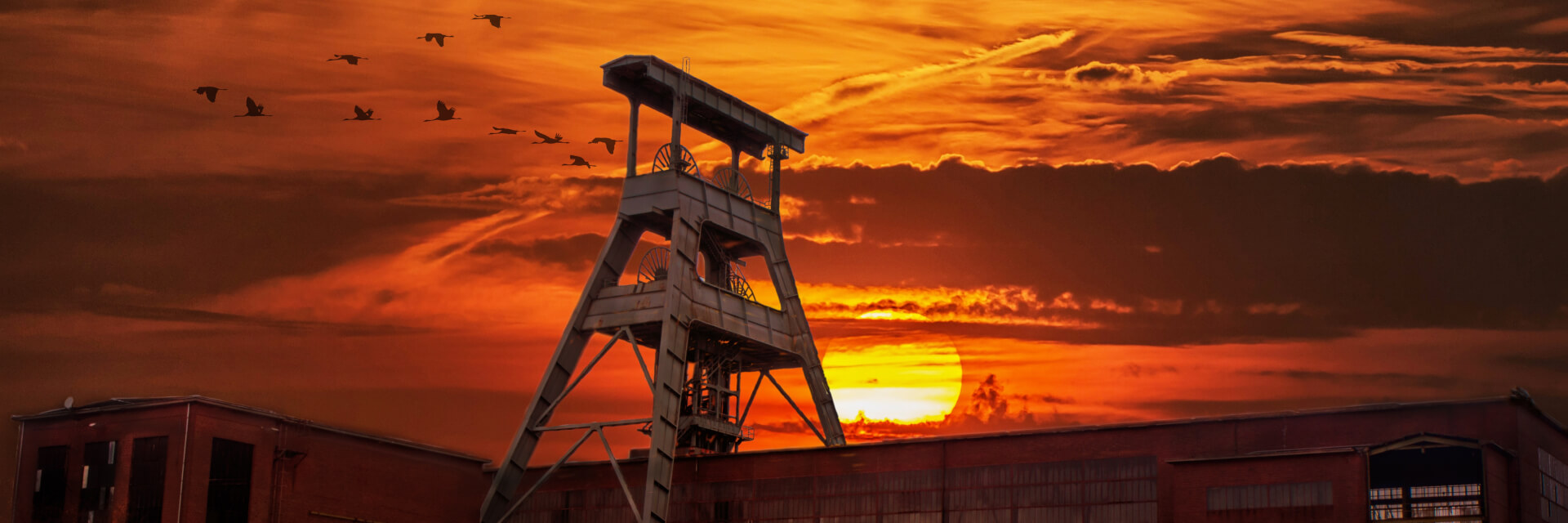 About Kewoje Services Limited